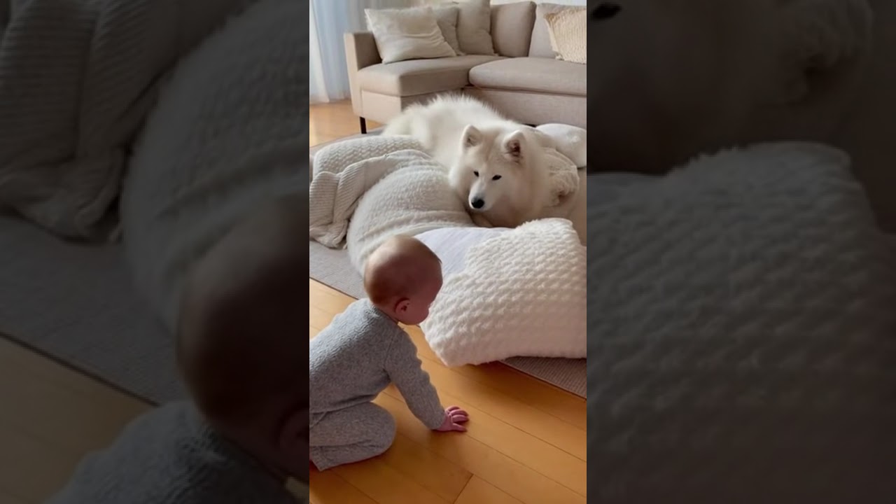 A tiny cloud appeared from the pillows! ☁️✨🤍 #Shorts