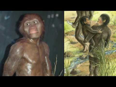 download lagu mp3 mp4 Lucy Bones, download lagu Lucy Bones gratis, unduh video klip Lucy Bones