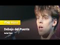 Ariel Rot - “Debajo del Puente” (Estudio Abierto 1984)