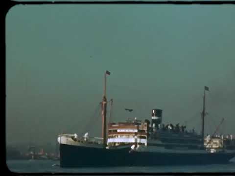 DEVTH CXRN - AMNESIA KUSH