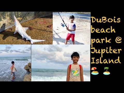 An Evening At DuBois Beach Park, Jupiter Island #Floridabeaches