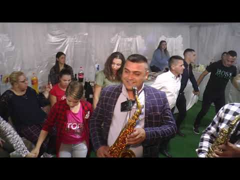 Majorat Braniste 2019