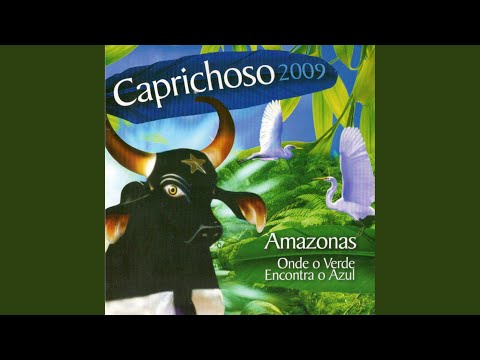 Meu Amazonas (2009) - Boi Caprichoso