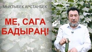 Мыктыбек Арстанбектин бадыраңдары. Дарысыз өстүрсө болот.