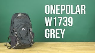 Onepolar W1739 / grey - відео 1