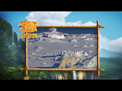 The Jungle Book Safari - Episode 1 - Predators