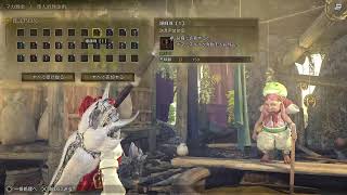 [モンハンワイルズ]上位編
