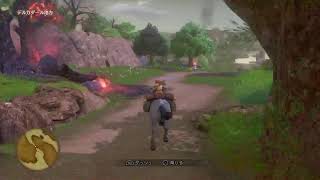 DQ１１をする成人男性