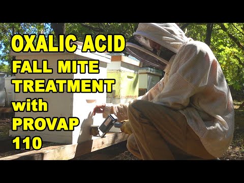 Oxalic Acid Varroa Mite Fall Treatment S4E62 #beekeeping #varroa