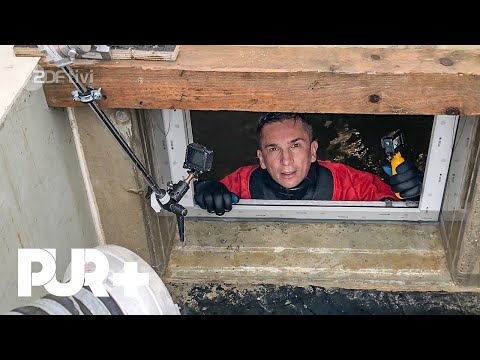 Riskanter Versuch: Wie befreit man sich aus einem vollgelaufenen Keller? PUR+ I ZDFtivi