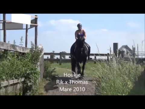 Stal Okkema's Houkje door de hindernis.