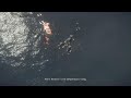 NieR Automata 2B On The Verge Of Infection