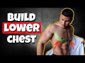 5 BEST LOWER CHEST EXERCISES (NO WEIGHTS NEEDED)