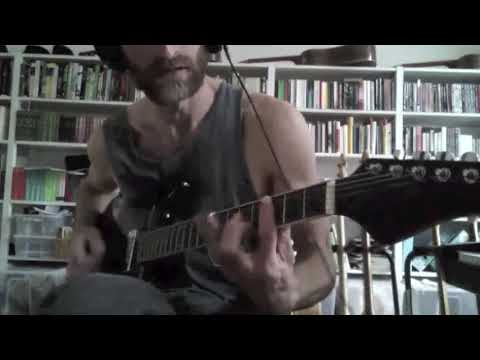 Teisco w/ goldfoil / blackfoil pickup