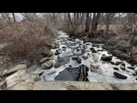 Callahan State Park 2020