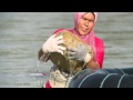 INDONESIAKU - SUNGAI MAS , ALIRAN SUNGAI PENGHIDUPAN KAMI (6/2/17) 3-1 INDONESIAKU - SUNGAI MAS , ALIRAN SUNGAI PENGHIDUPAN KAMI (6/2/17) 3-1