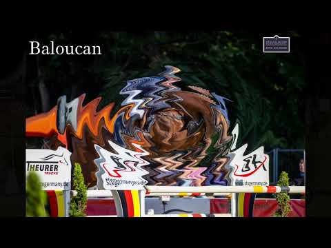 Baloucan Warendorf_DirkAhlmann