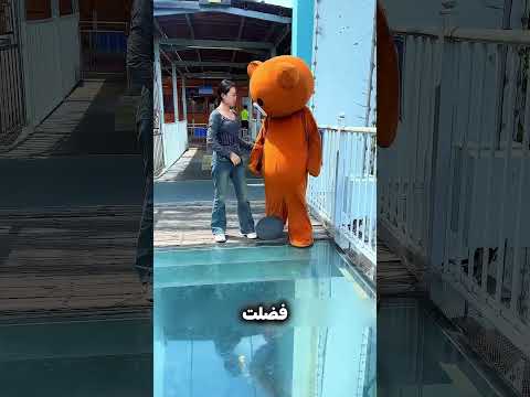 الباندا شجّع البنت تعدّي الجسر! 🐼🧡
