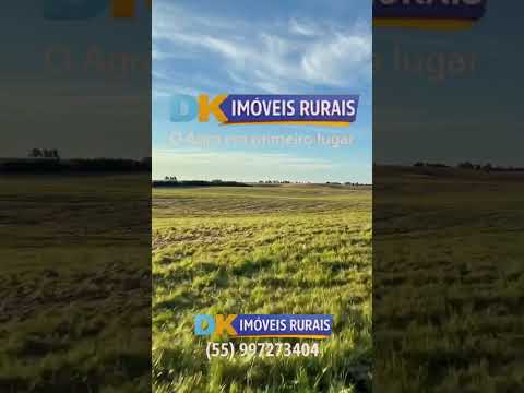 🚜🌾 PRODUZA MAIS INVESTINDO MENOS EM SÃO GABRIEL/RS!