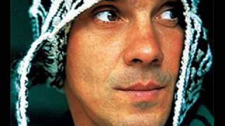 Manu Chao &amp; Lyricson : Mr Bobby