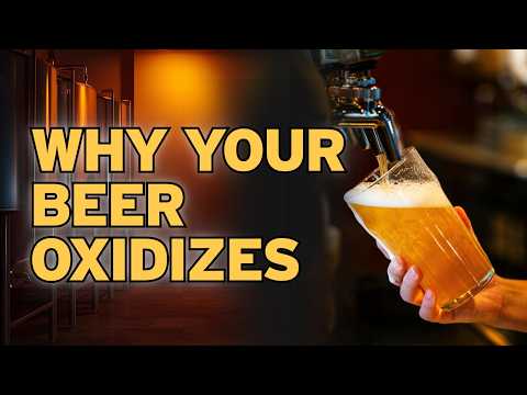 6 Things You Didnt Know About Dissolved Oxygen in Beer That Ruin Flavor