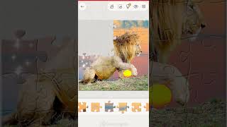 Collecting the Scattered Parts: Complete the Lion Portrait Step by Step!#gaming #nextlevel #lion