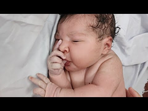 Most Beautiful and Chubby 5.8kg newborn baby immediately after birth sucking his thumb is Gorgeous