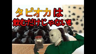 【工作】タピオカで○○作ってみた【スルメもあるよ】