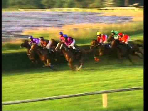 Galopprennbahn Dresden - 04.09.2011 - 8.Rennen