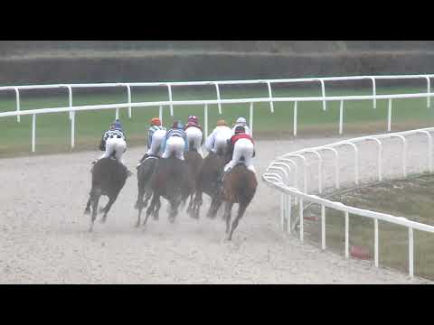 2019.11.10. 04. futam - GIPSY DREAM HENDIKEP (III.o.) (szintetikus pálya)