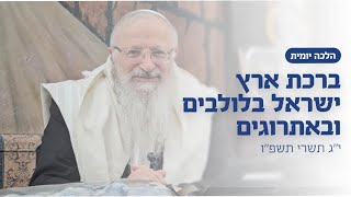ברכת ארץ ישראל בלולבים ובאתרוגים | הרב שמואל אליהו | הלכה יומית | י״ג תשרי תשפ״ו (הרב שמואל אליהו) - התמונה מוצגת ישירות מתוך אתר האינטרנט יוטיוב. זכויות היוצרים בתמונה שייכות ליוצרה. קישור קרדיט למקור התוכן נמצא בתוך דף הסרטון