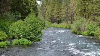 Fly Fishing Oregon's Famous Waters
