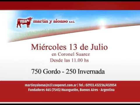 13/07/16 -  REMATE MARTIN Y ALONSO  -  1000 VACUNOS