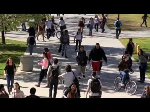 Advanced Placement & Higher Education