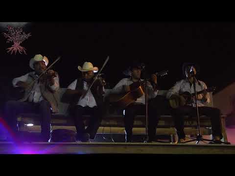 TOPADA Tobías Hernández vs Toño Jiménez (parte 2)