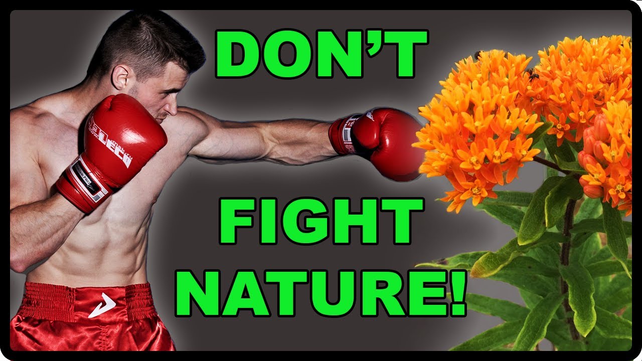 Discover the Secrets of ECOLOGICAL Landscape Design!