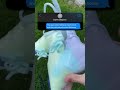 Sophie Rain