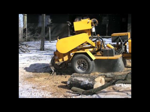 Robert's Tree Service - Starke, FL