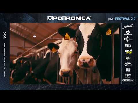 STEFF DA CAMPO LIVE SET