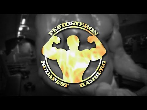 Medimeisterschaften 2019 - Budapest - PESTOSTERON