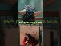 If Your Love Ever Leave Me Mogbe ‍ ️ Shorts Tiwasavage Gbagadaexpress