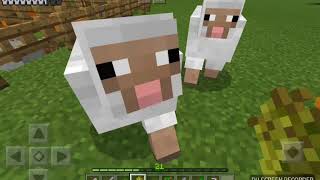 モコモコの無言集中マイクラ実況パート5
