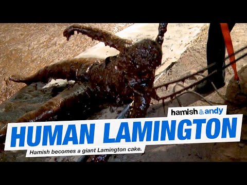 Human Lamington Cake | Hamish & Andy