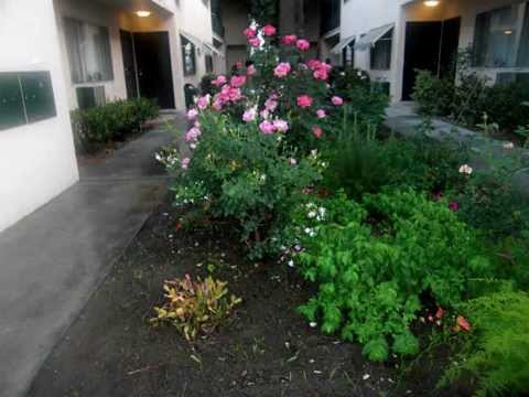 Apartments For Rent in Van Nuys, CA | (818) 505-0303 | Erwin Apartments