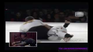 Eddie Bravo Breakdown of Royler Gracie Rematch at Metamoris 3 (from Joe Rogan Experience #478)