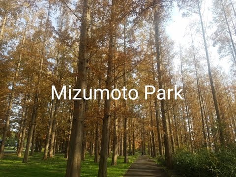 【観光PR動画】水元公園（紅葉）
