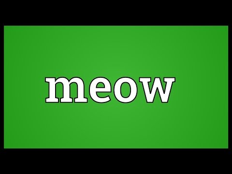 Meow Meaning - YouTube