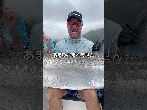 鱗の価値