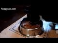 Tuxedo Cat Boots Tries Nature S Logic Cat Food Rabbit Fare Review ねこ ラグドール Floppycats
