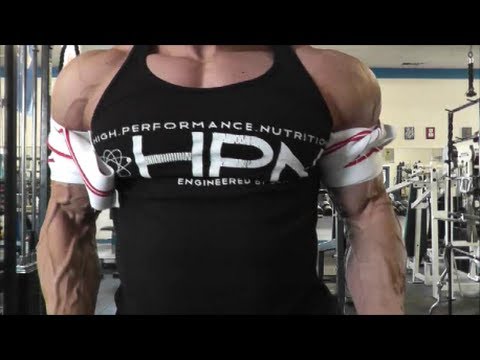 download lagu mp3 mp4 Blood Tiger Shoulders, download lagu Blood Tiger Shoulders gratis, unduh video klip Blood Tiger Shoulders